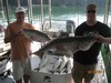 (08/09/2015) - Nice Striped Bass